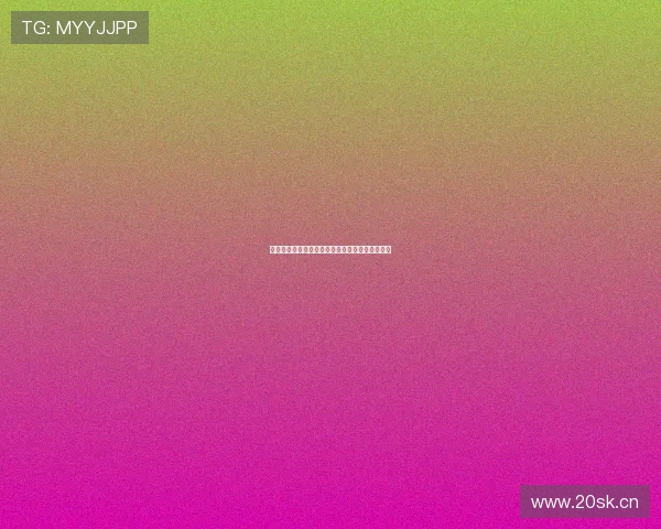 鲸鱼传媒旧版本下载安装指南与使用技巧详细解析